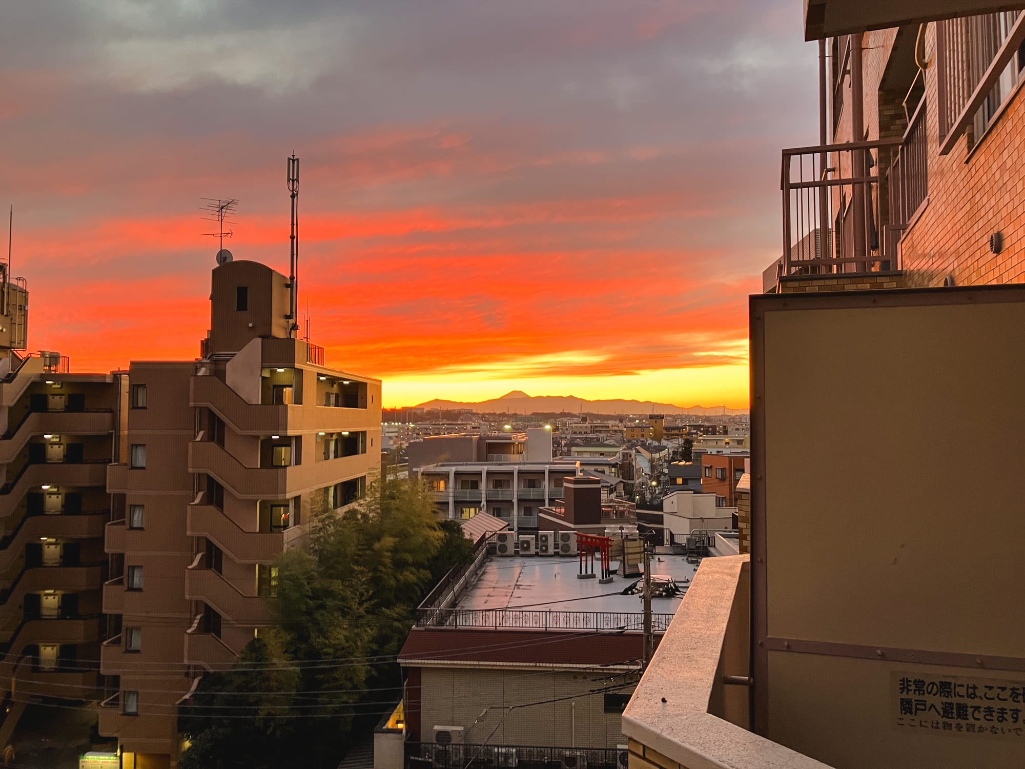 建物の向こうの空を赤く染める東京の夕焼け