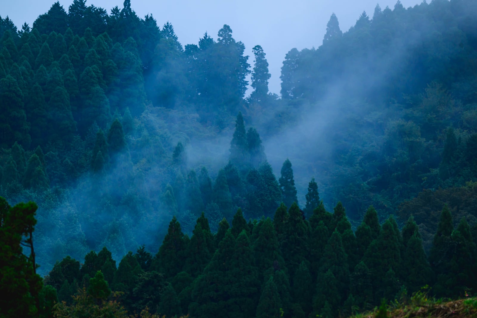 阿蘇の山あいに立ち込める朝霧