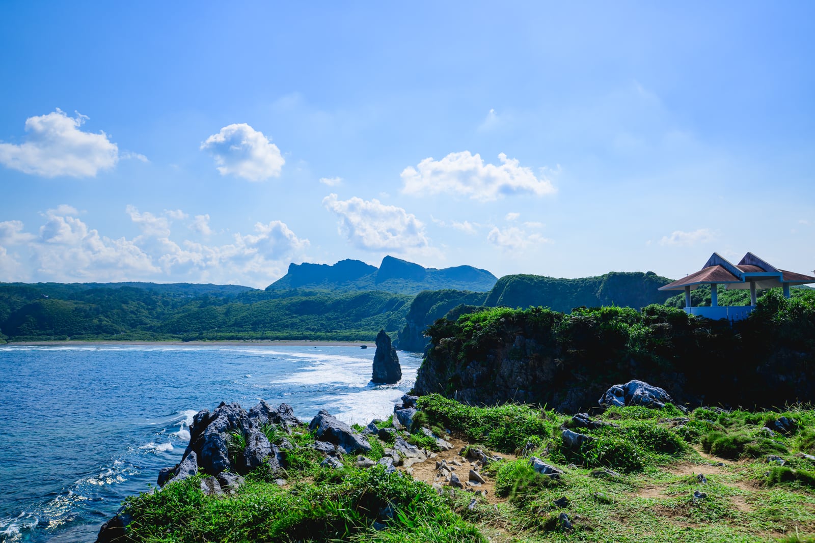 辺戸岬の緑の崖と青い海、その向こうに広がる夏空