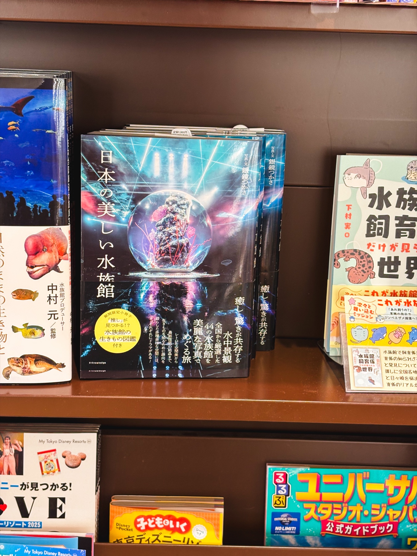 本棚に並んだ日本の美しい水族館という写真集