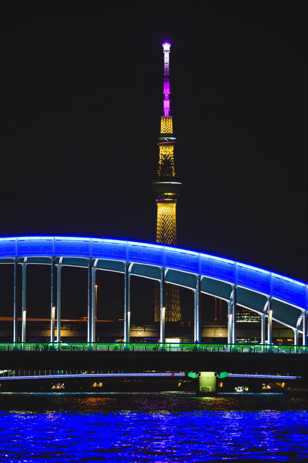 屋形船から見たライトアップされた東京スカイツリーと橋