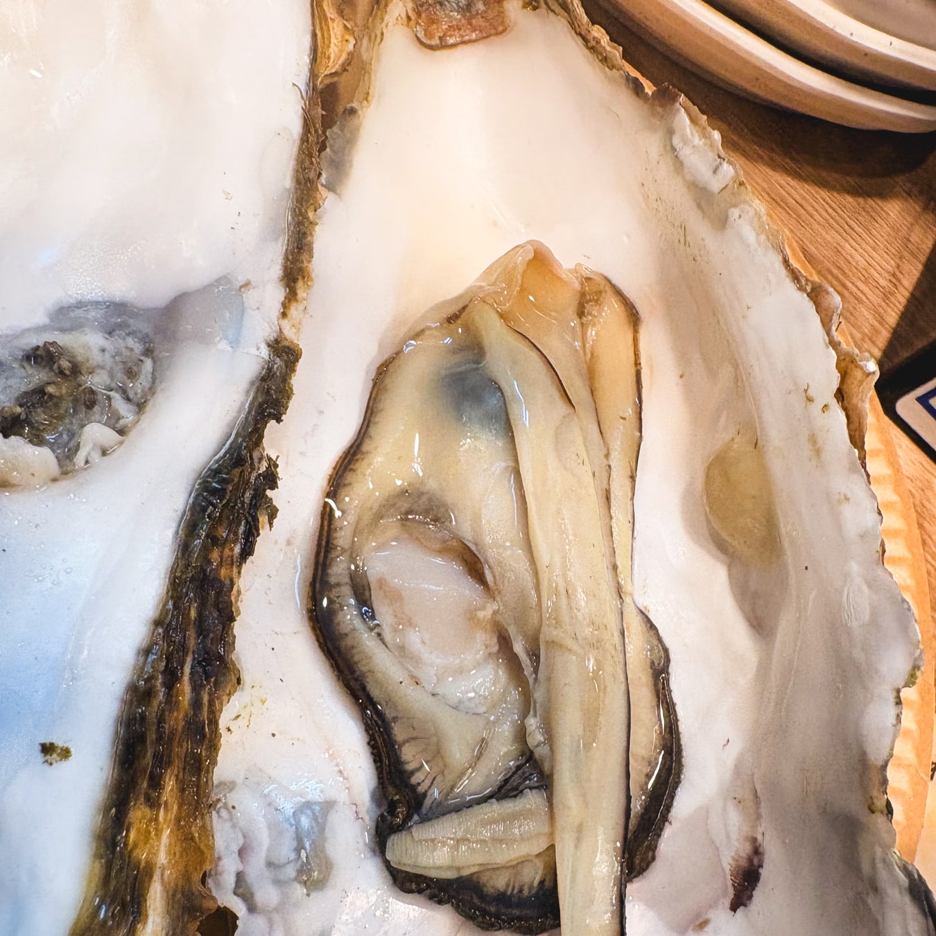 仙台朝市の朝市寿司で食べた大きな蒸し牡蠣