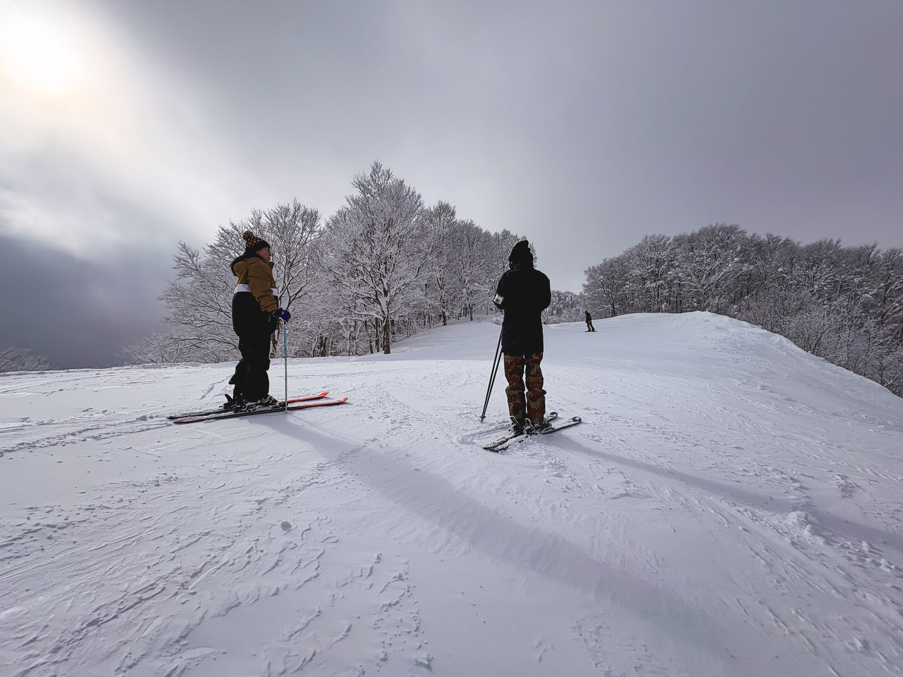 雪をまとった木々に囲まれたジャングル・ジャングルのゲレンデ