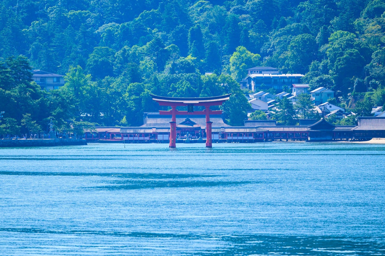 フェリーの上から海越しに見た、厳島神社の大鳥居と社殿