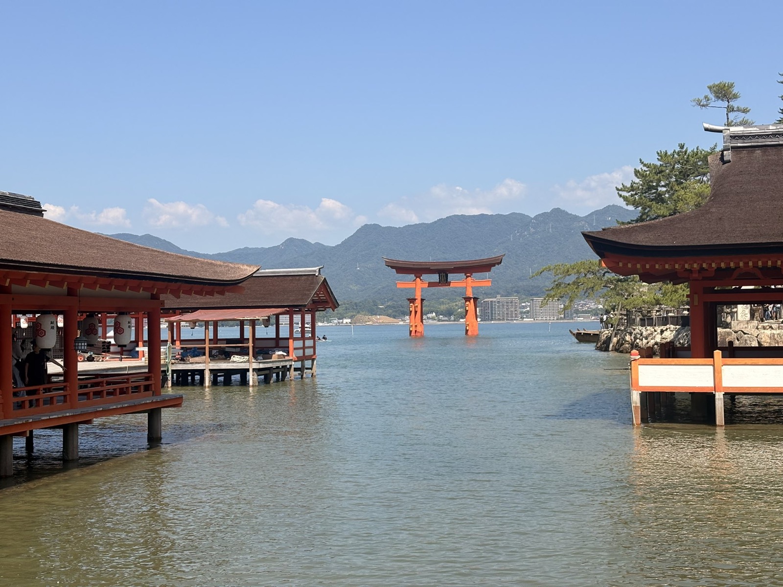 厳島神社の境内側から、海に立つ大鳥居を望む景色