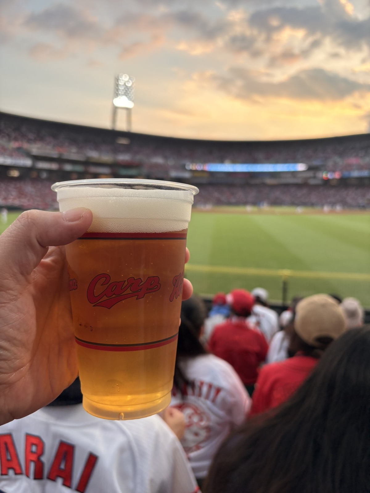 夕焼けのマツダスタジアムを背景に掲げた、Carp ロゴ入りカップのビール