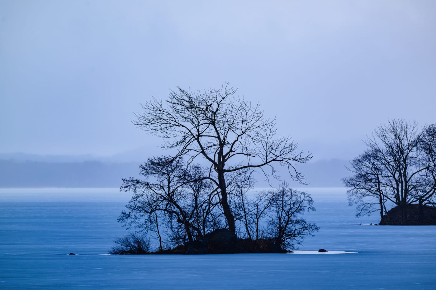 Trees standing on the white, snow- and ice-covered surface of Onuma