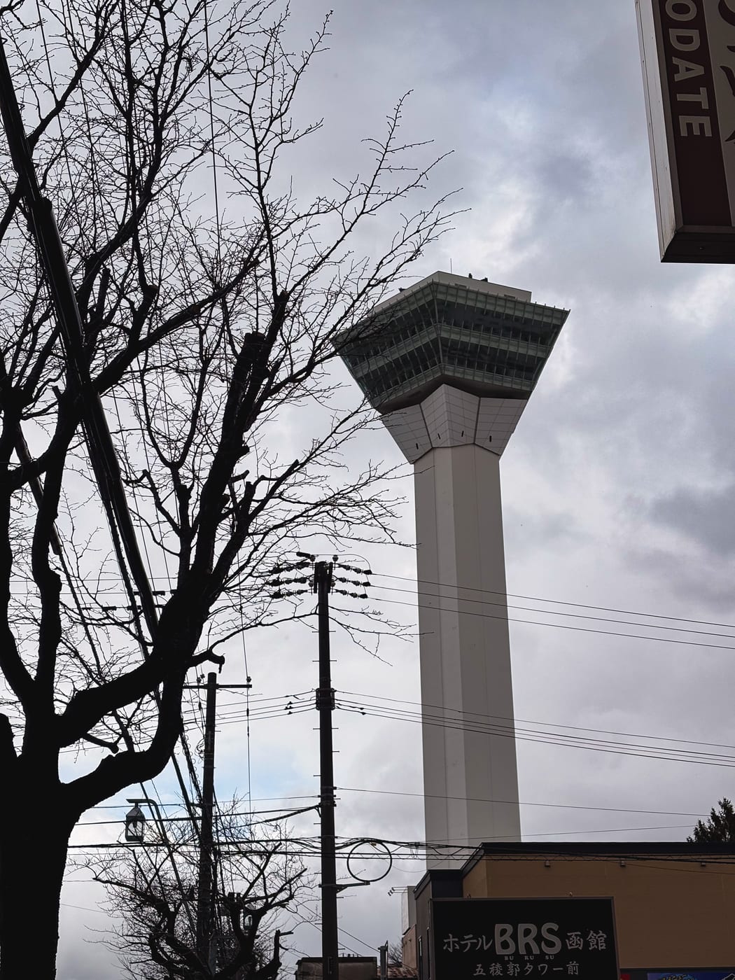 Goryokaku Tower standing beyond leafless winter trees