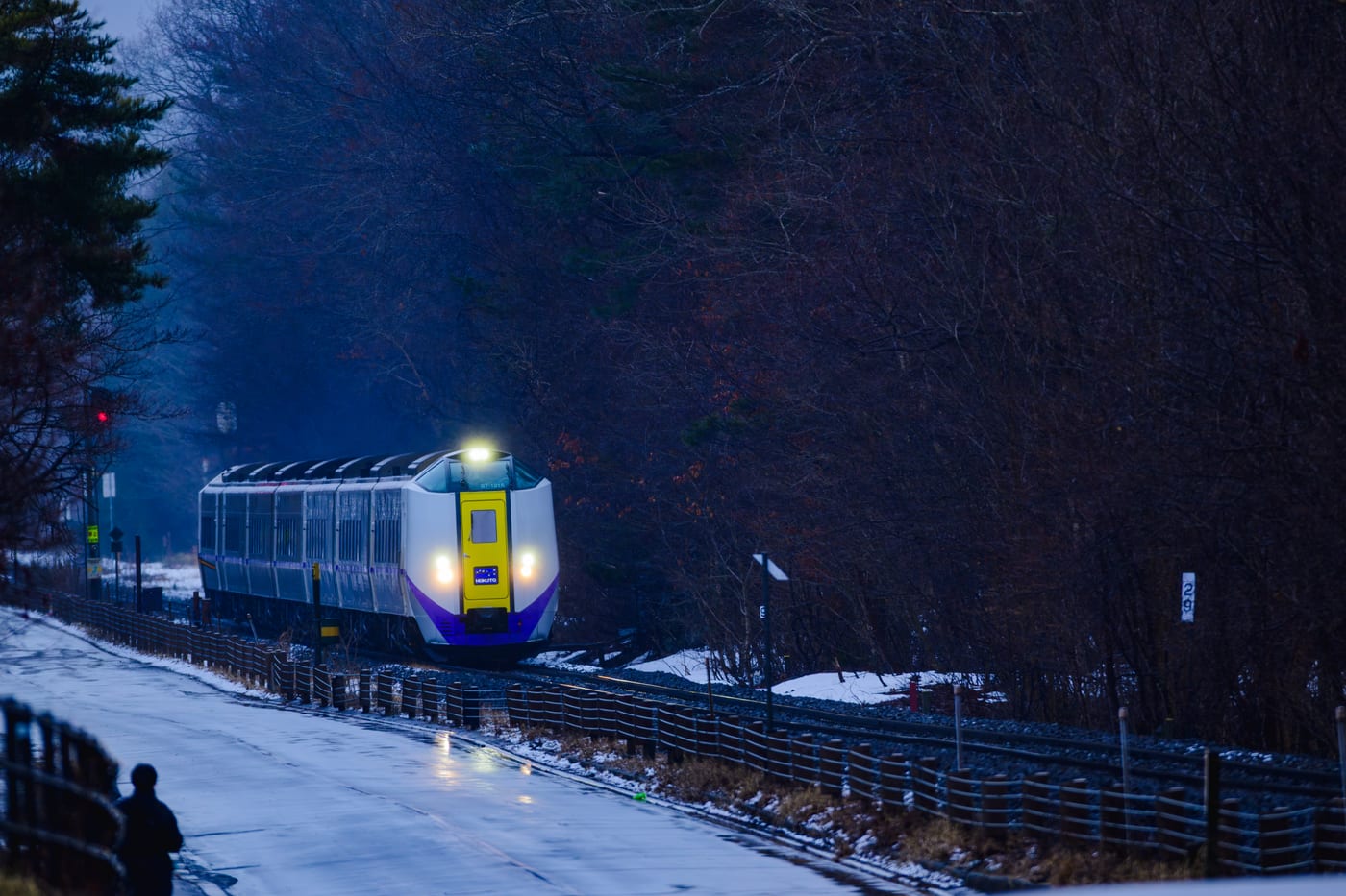 A Limited Express Hokuto running on snowy tracks near Onuma Park