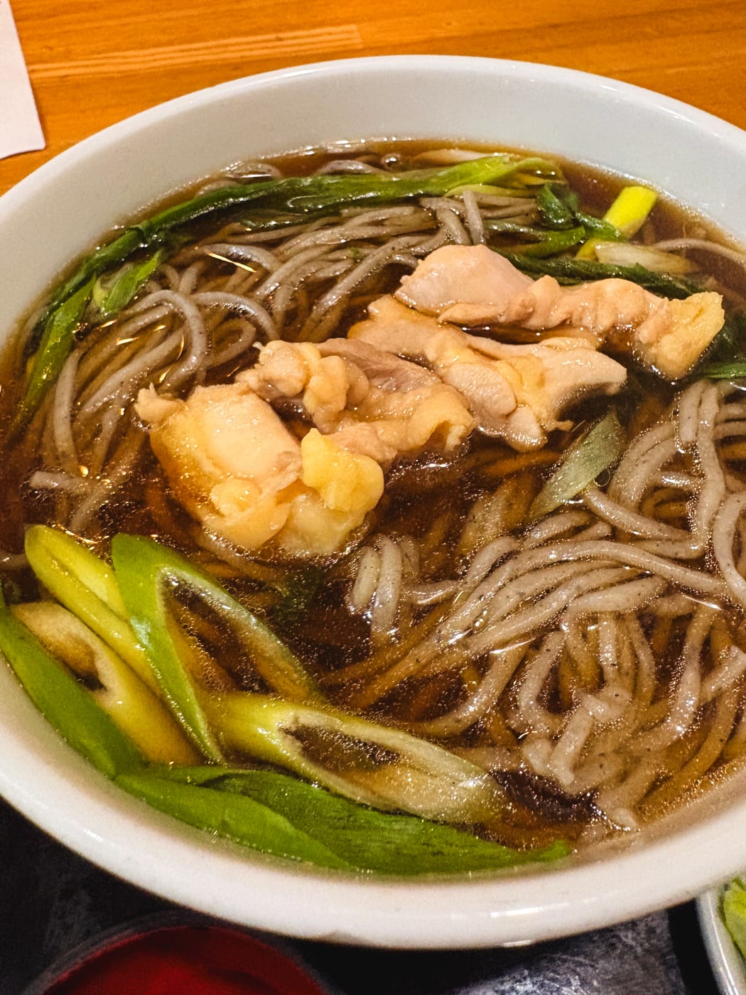 A hot bowl of soba with chicken and green onions