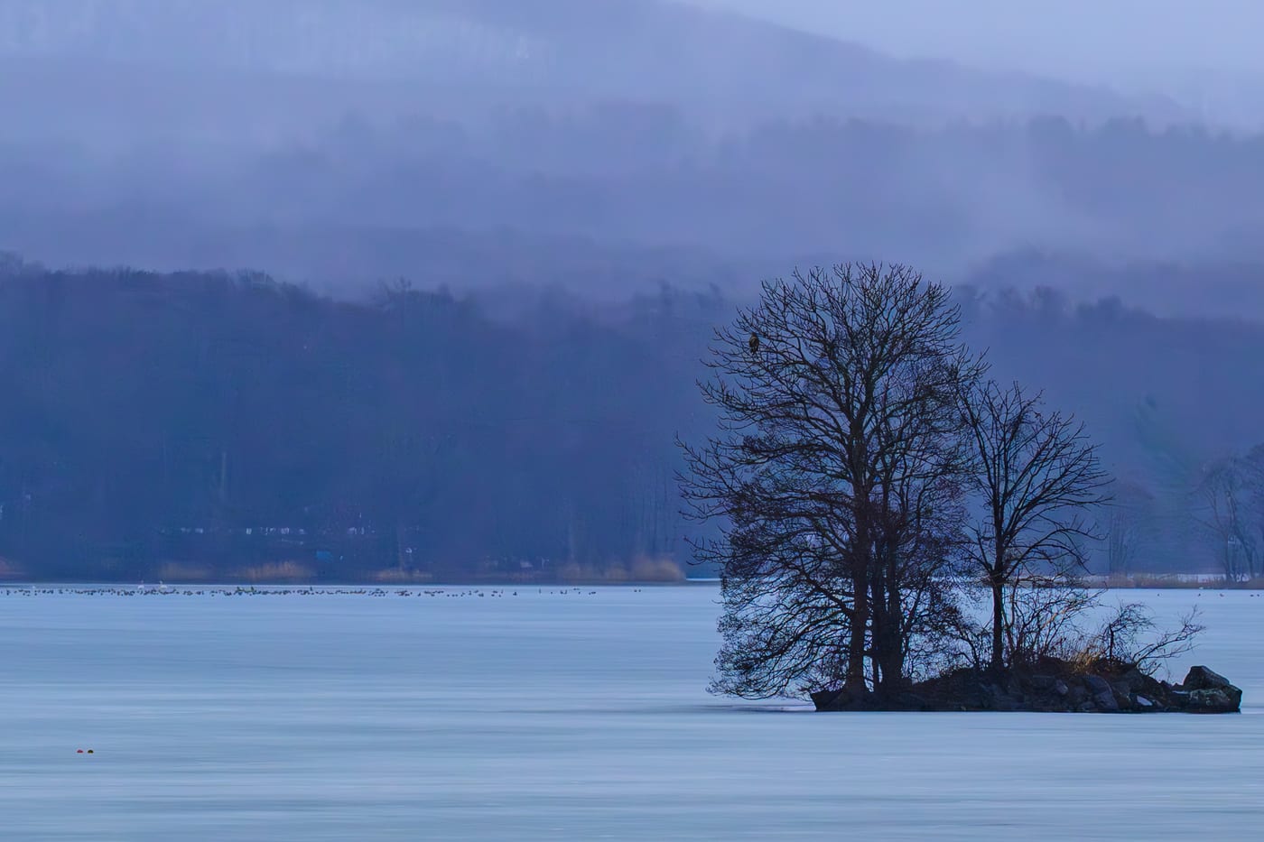 Trees standing on frozen Onuma with mist-covered mountain ridges beyond them