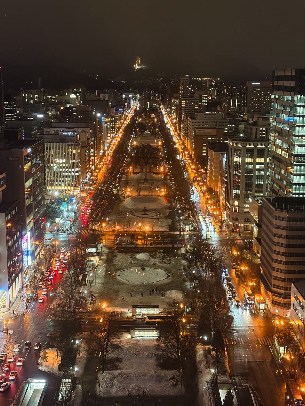 Odori Park at night viewed from the Sapporo TV Tower observation deck