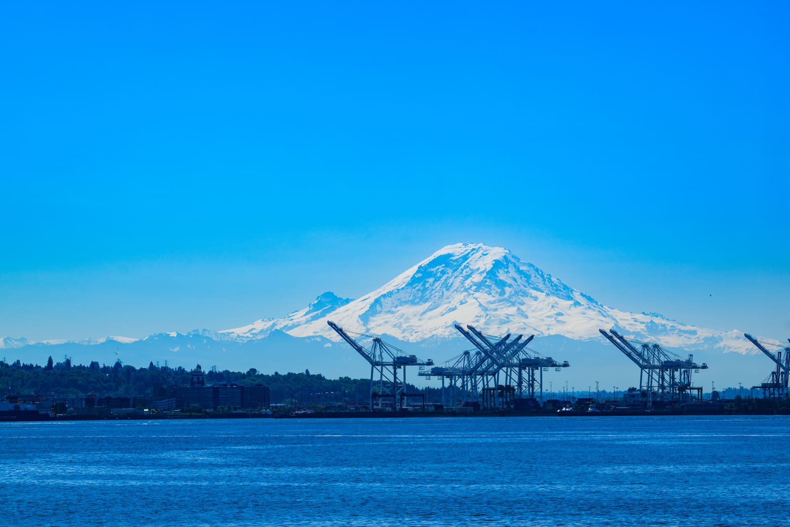 Elliott Bay のクルーズ船から見た Mount Rainier