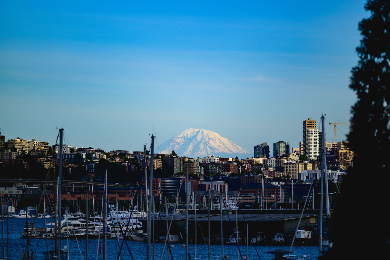 Lake Union 越しに見える Mount Rainier