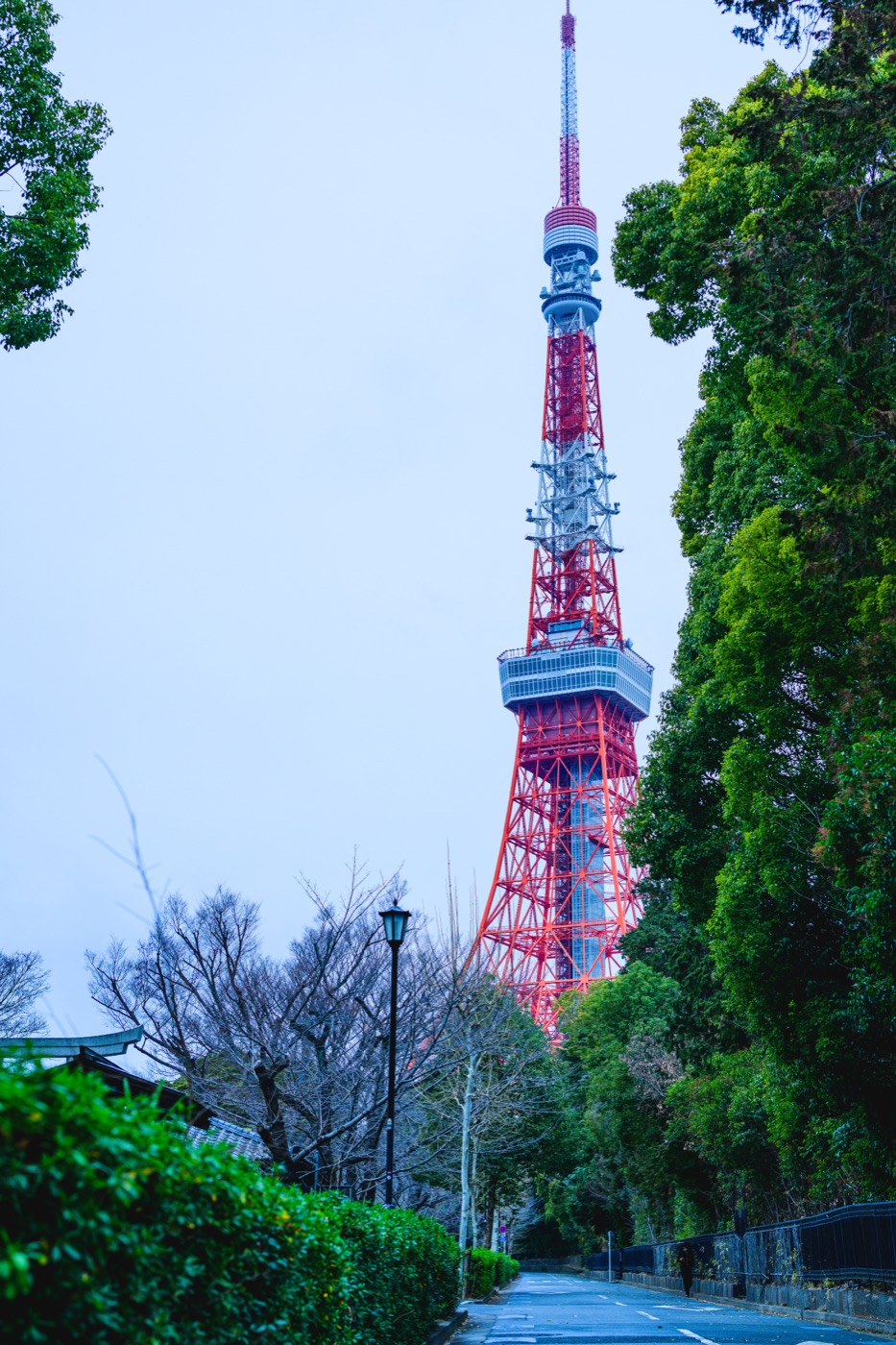 Tokyo Tower standing at the end of a path surrounded by trees