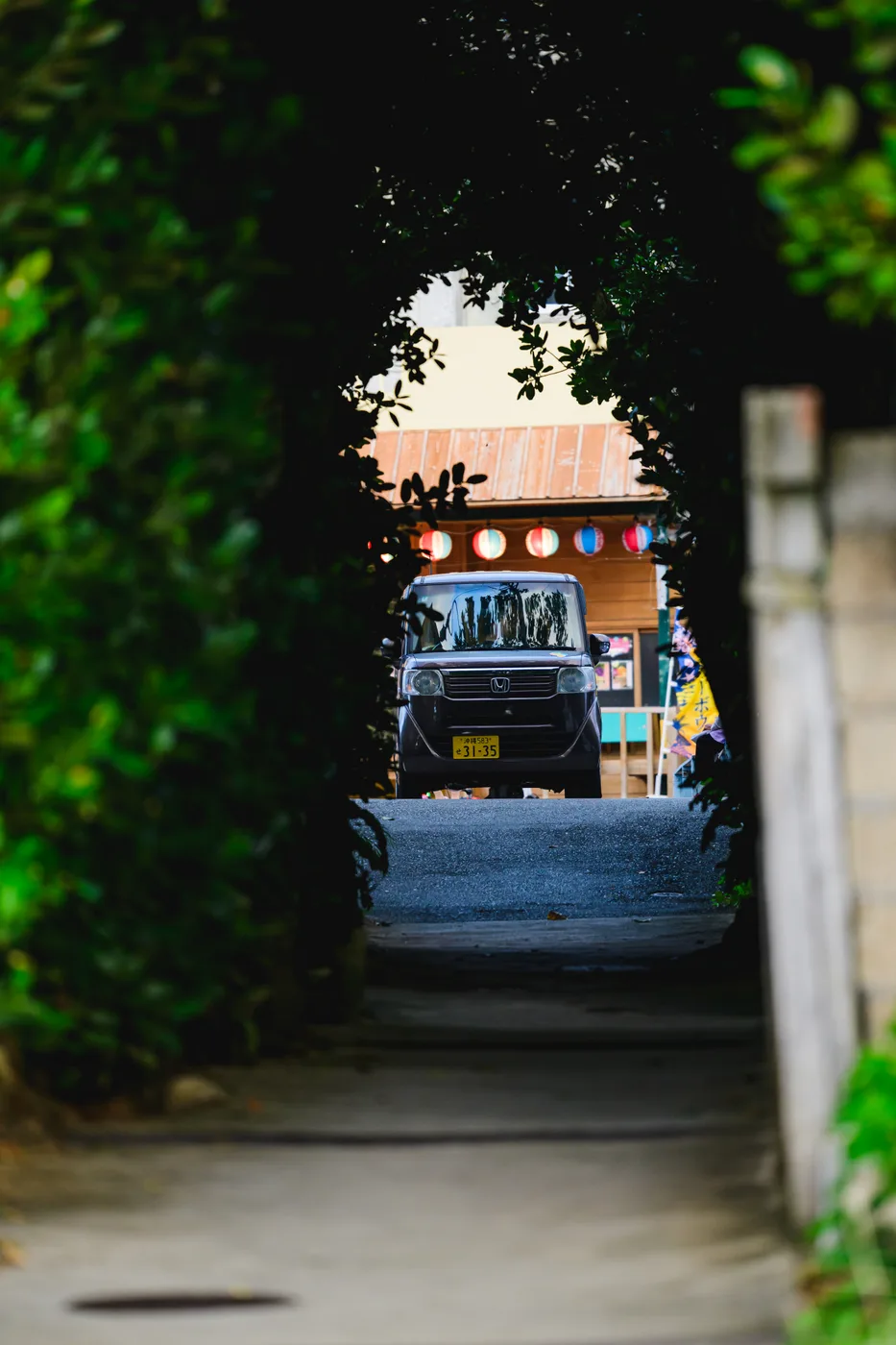 A narrow tree-lined lane in Bise with a car in the distance