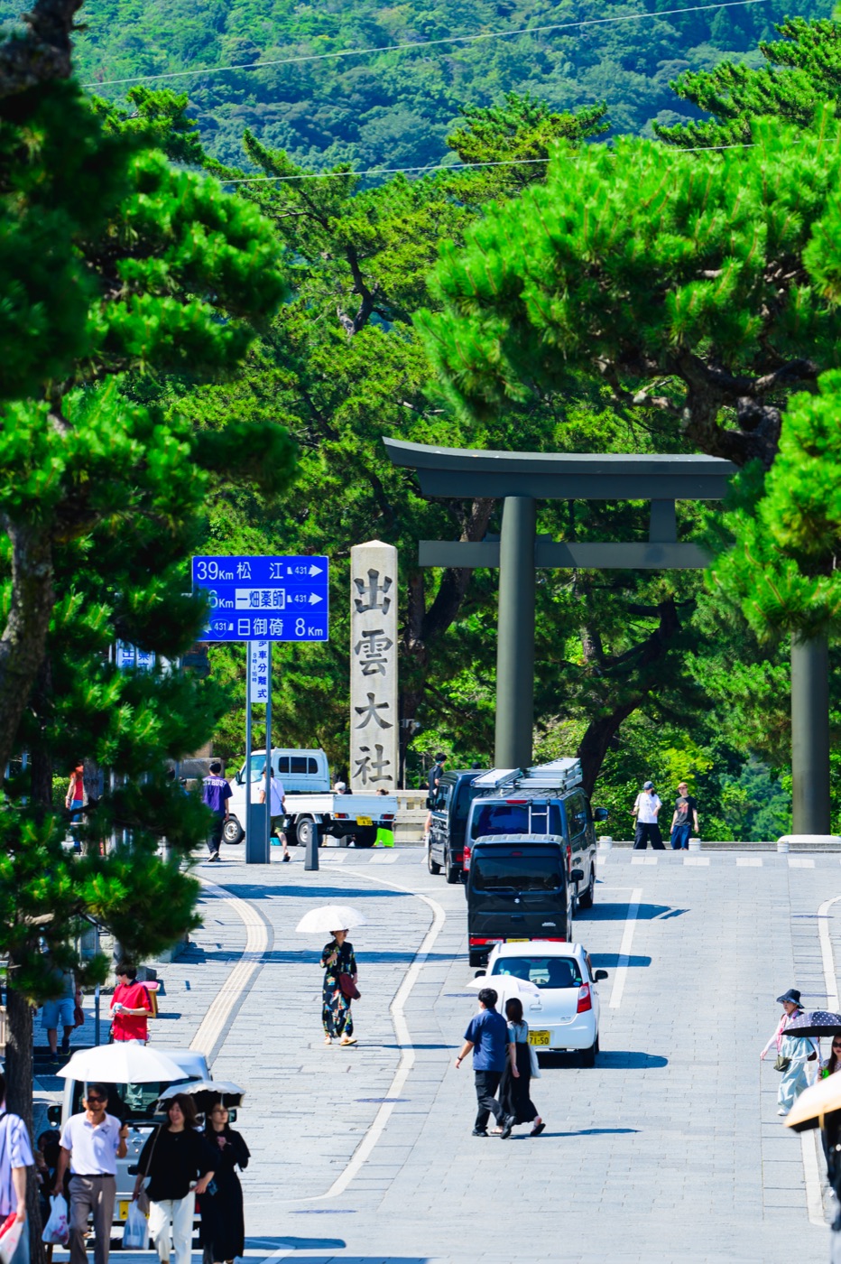 松の木の間から見た出雲大社の社号標と参道入口