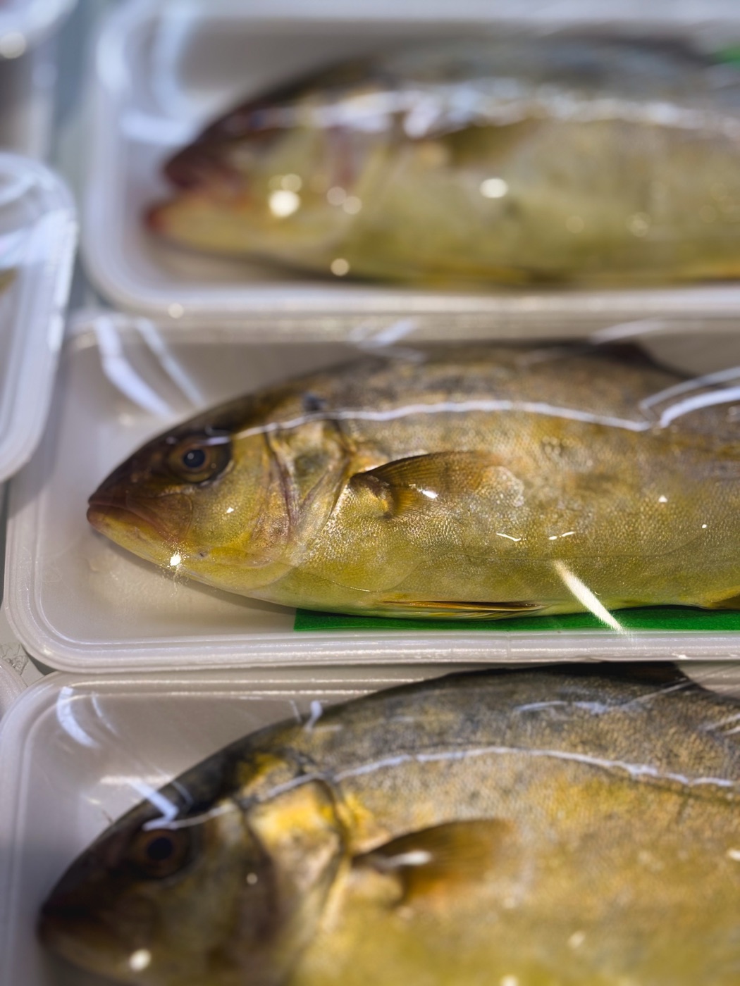 道の駅 西いなば気楽里で販売されている鮮魚