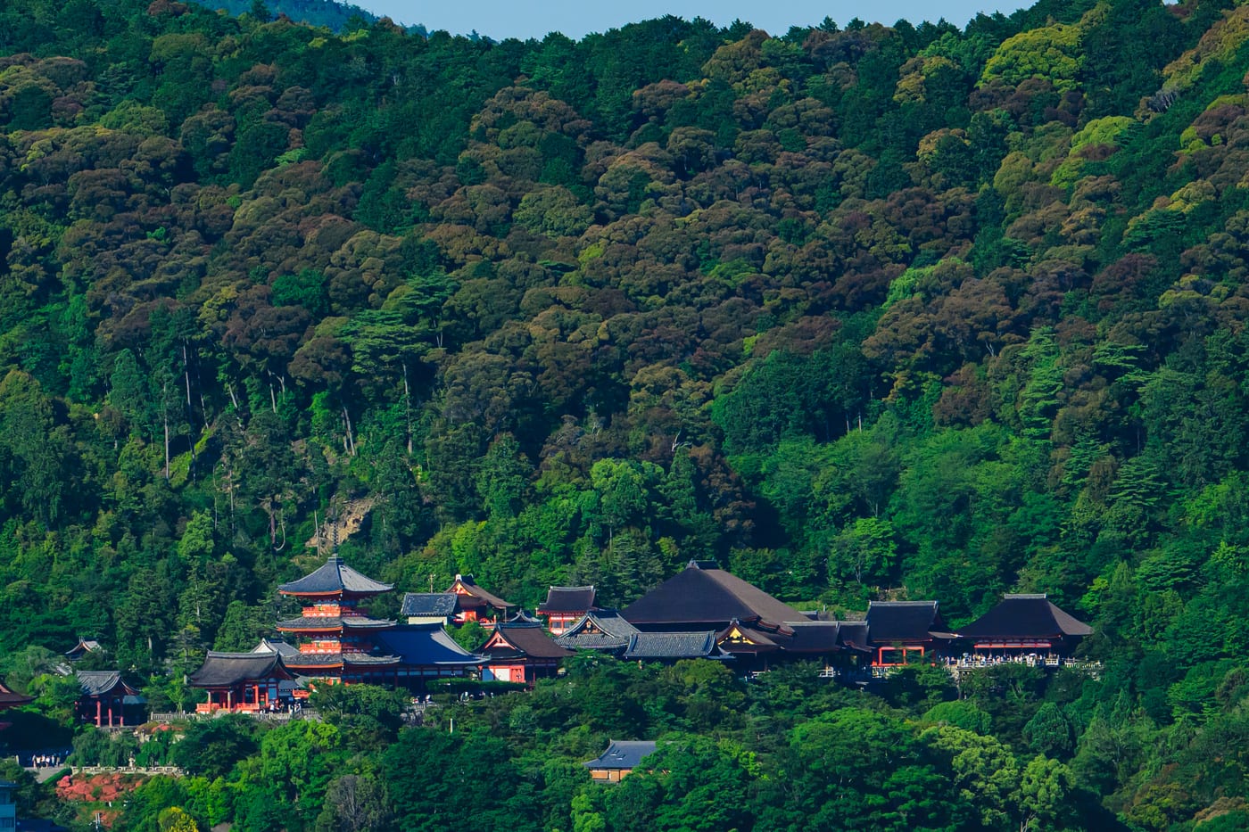 Buildings of Kiyomizudera visible in the green mountains